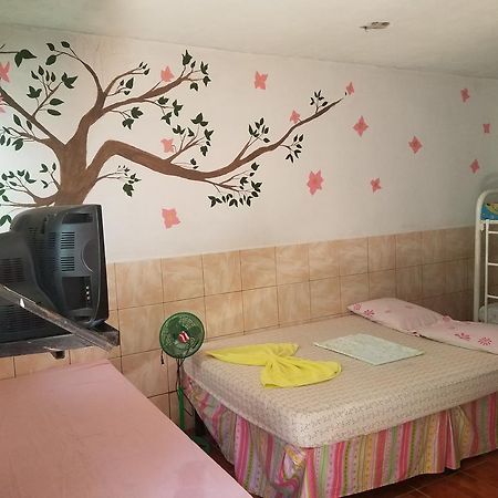 马那瓜湖 Casa Liz酒店 外观 照片
